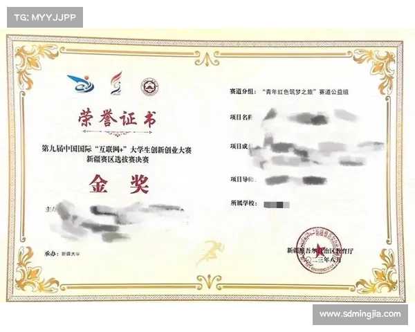 获奖项目最佳设计秘诀盘点与成功背后的关键因素分析